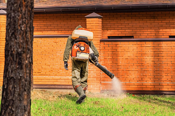 Trusted Mosquito Control service in Lincoln Park, CO - Nex Pest Control